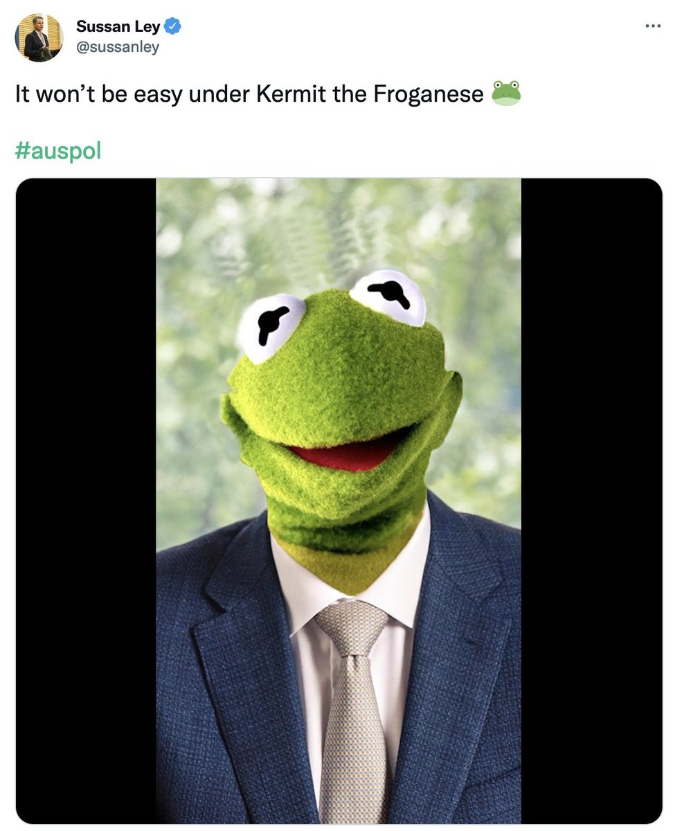 Leonardo Puglisi On Twitter wtf Does This Even Mean leonardo-puglisi-on-twitter-wtf-does-this-even-mean