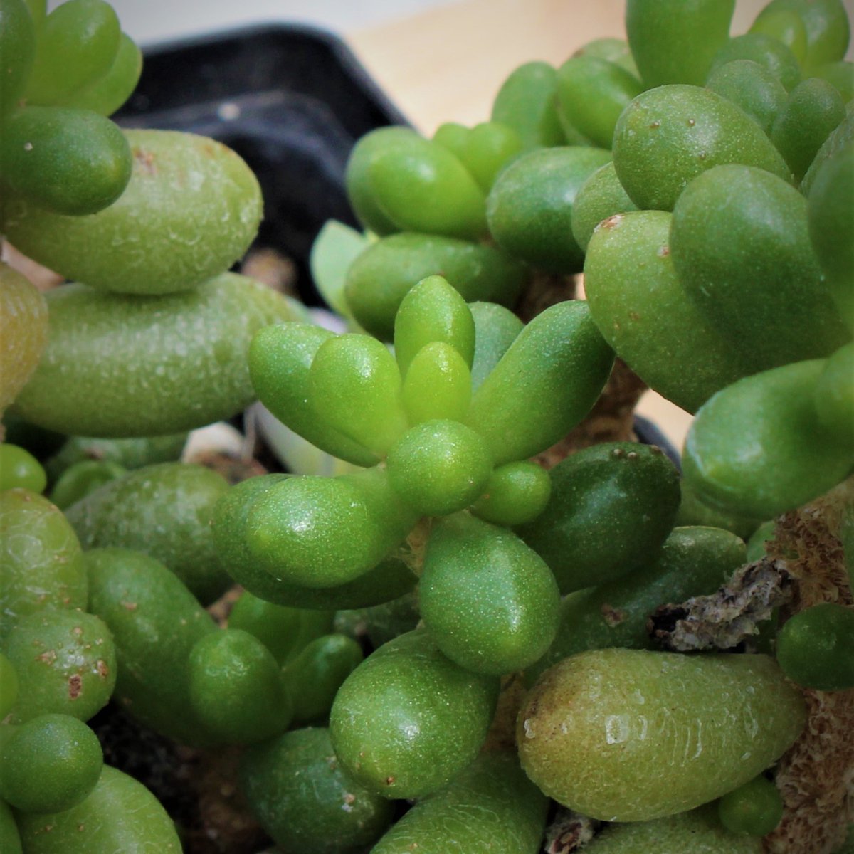 Community Toolbox tweet media