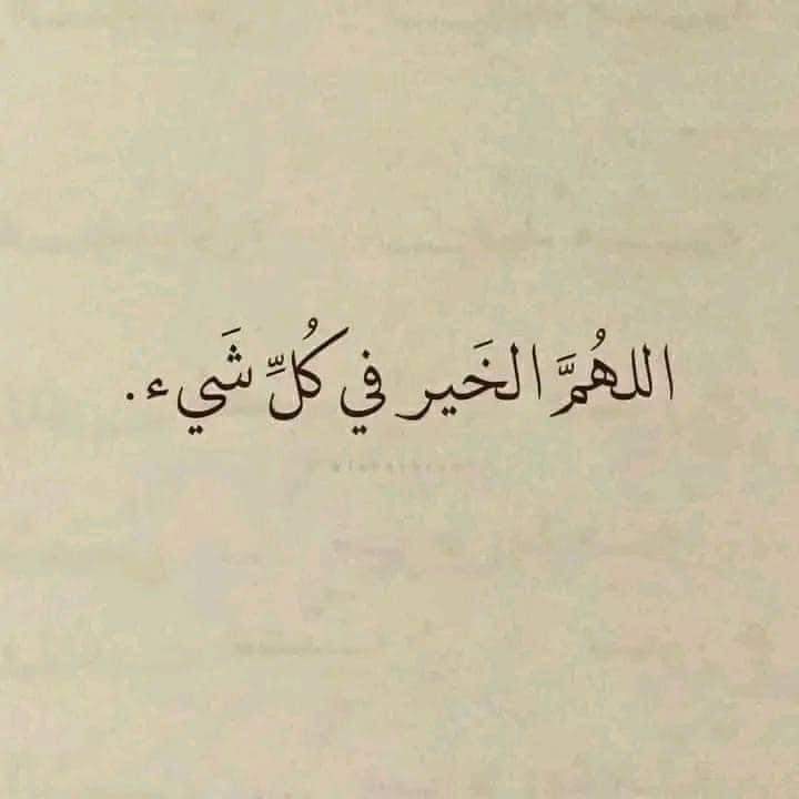 AmiraAbdAlazi10's tweet photo. https://t.co/vOknn5dz7H