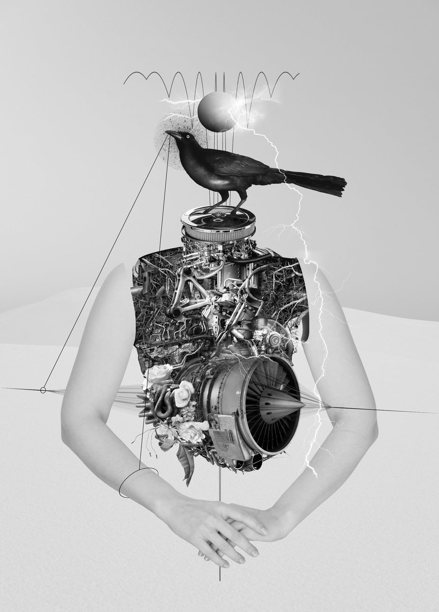 On Thin Ice tweet media