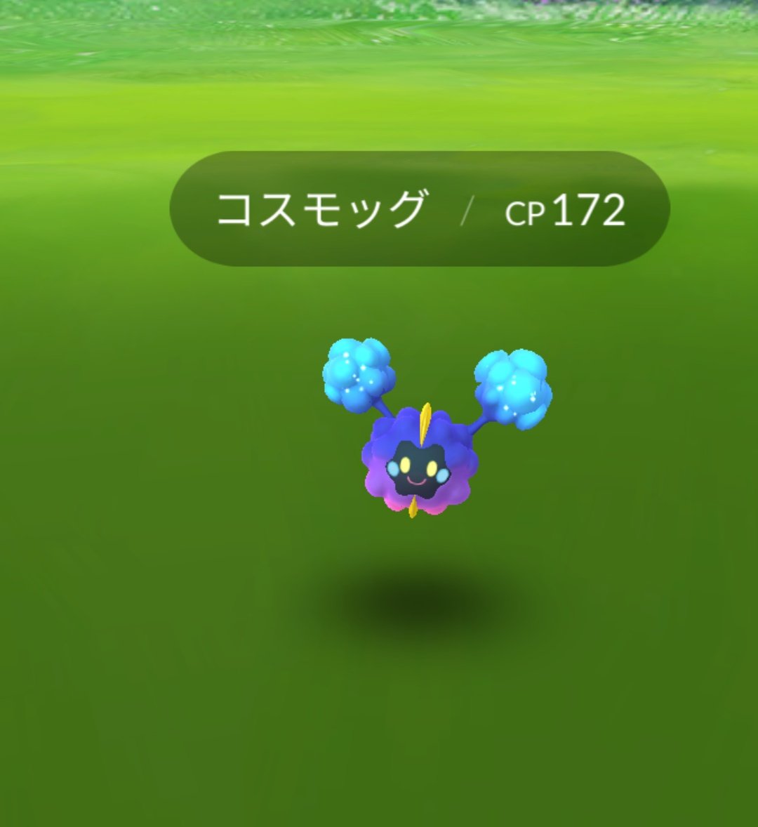 تويتر ほしぐも البحث في تويتر