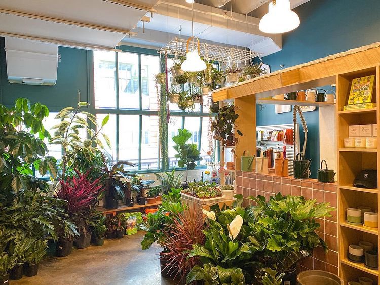 MYSTICFORMS's tweet photo. Meet our stockist - Little Shop of Soil in Brooklyn, NY๐ฟ
We are super delighted to have a selection of our collection alongside the beautiful plants๐๐
Check out this amazing shop if you are in the area๐โจ
#stockist #brooklyn #bushwickbrooklyn #NY https://t.co/JCgH17SU3R