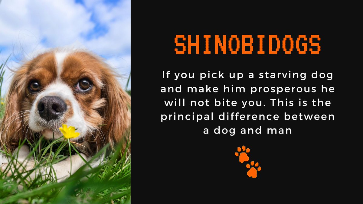 #naruto #Shinobi #shelterdogs #DogLover #pets #adopt #NFTCommunity #NFTProjects #NFT #twothousandfriends