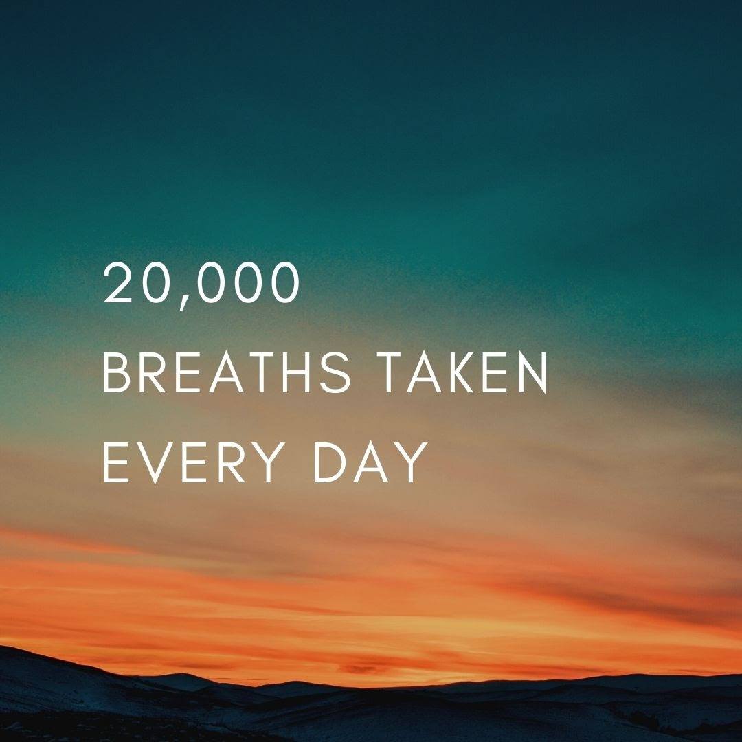 Thread by LongevLifestyle on Thread Reader App Thread Reader App