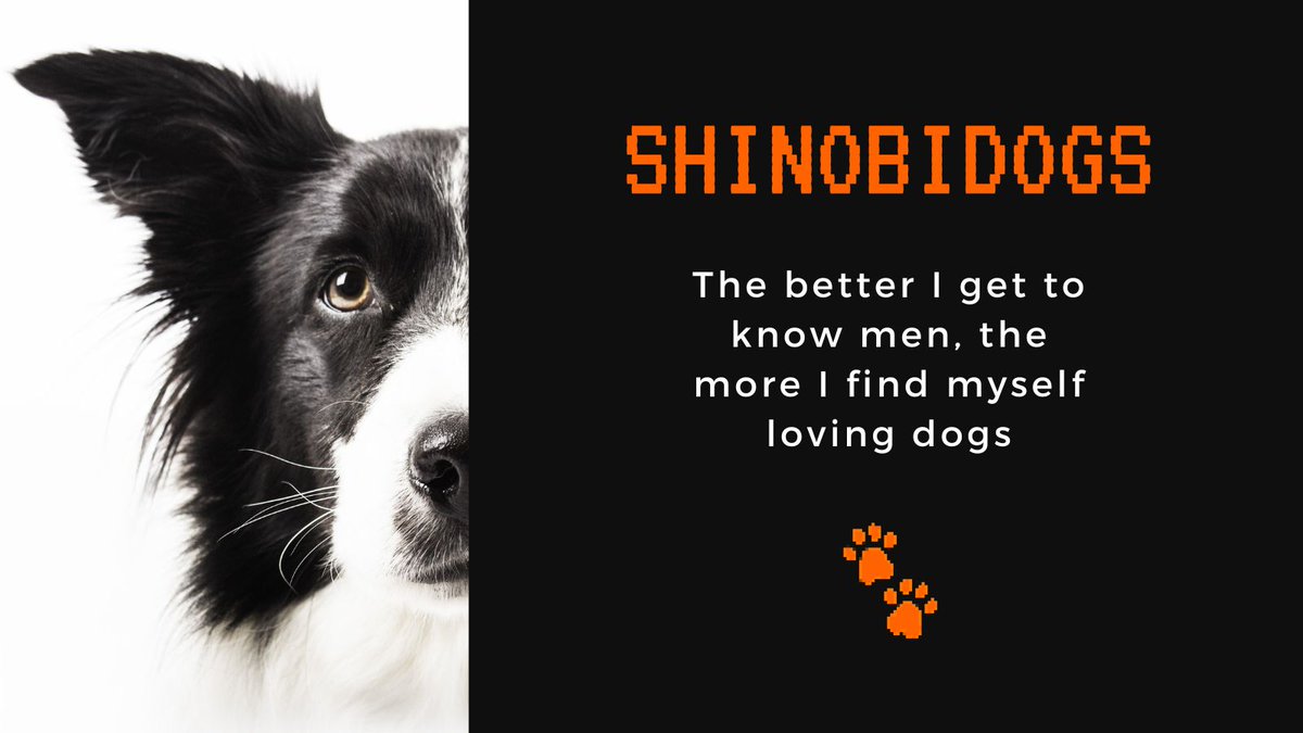 #naruto #Shinobi #shelterdogs #DogLover #pets #adopt #NFTCommunity #NFTProjects #NFT #twothousandfriends