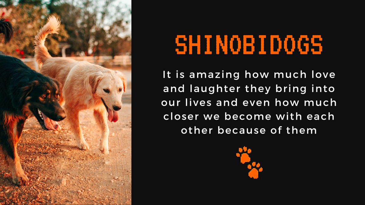 #naruto #Shinobi #shelterdogs #DogLover #pets #adopt #NFTCommunity #NFTProjects #NFT #twothousandfriends