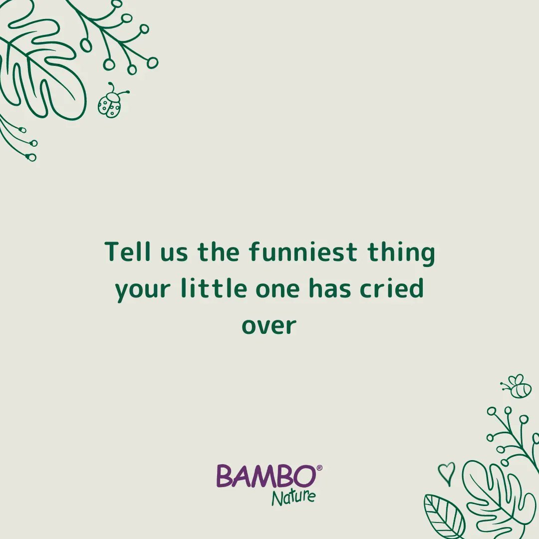 Bambo Nature UK tweet media