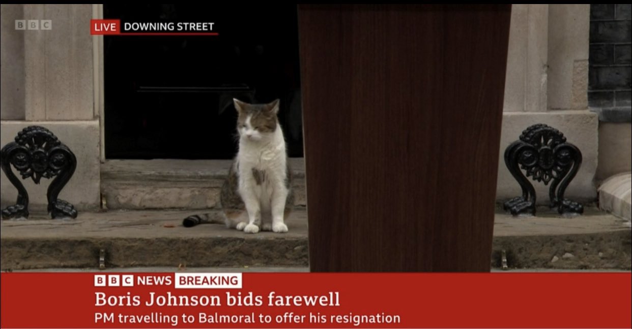Larry the Cat on X