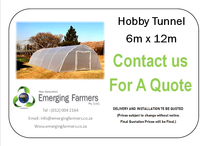 FarmersSA's tweet photo. Hobby Tunnel 6m x 12m
Contact Us For A Quote
Tel: (012) 004 2164
WhatsApp: 083 330 0999
E-mail: info@emergingfarmers.co.za
Website: https://t.co/vpczlc70bh https://t.co/6WugkQa2kc