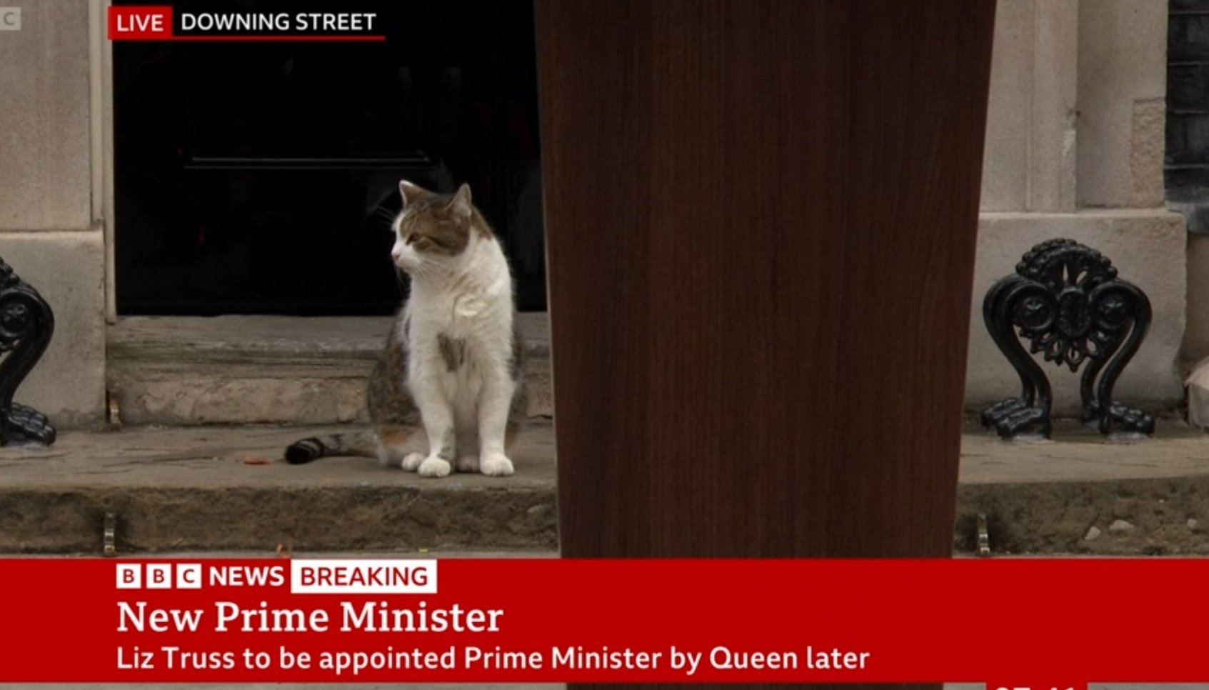 Haggis_UK 🇬🇧 🇪🇺 on Twitter "Larry the cat Has he gone? Number10cat