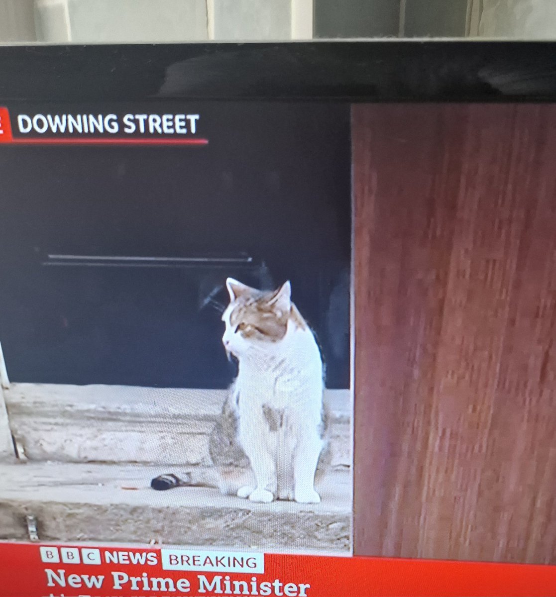 <a href="/Number10cat/">Larry the Cat</a> And announcing

THE NEW PRIME MINISTER