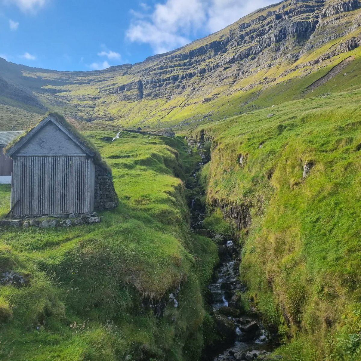 KolbruniH's tweet photo. Lendisbati project has officially started! Landslide has been fenced off, restoration experts have visited the Faroes, now discussions start on proceed forward! #ecologicalrestoration #lendisbati #faroeislands https://t.co/DFPd63zM1i