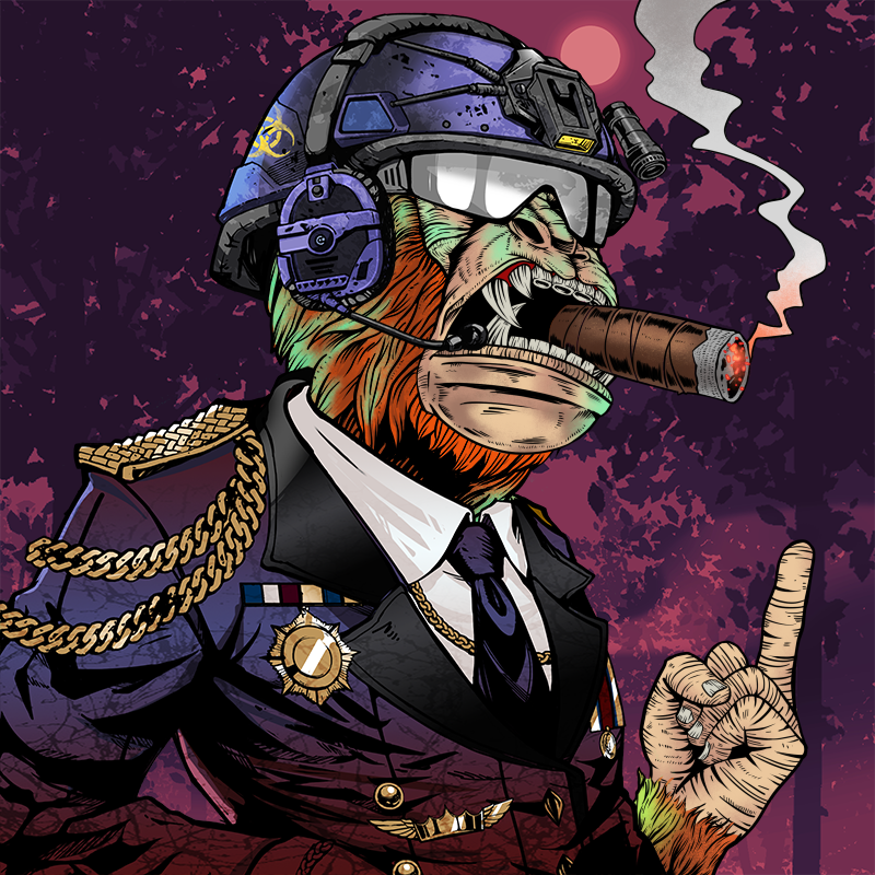 Colsumama's tweet image. Got myself this 2 amazing @AcidMonkeys Ape follow Ape?