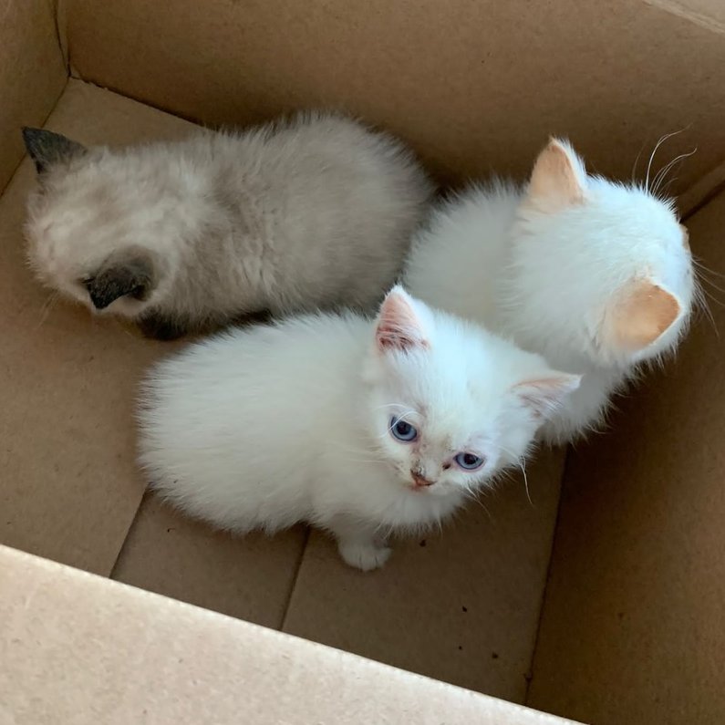 ZDF-Landesstudio Nordrhein-Westfalen tweet media