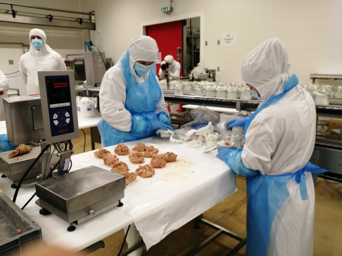 LSAconsommation's tweet photo. Dans le Sud-Ouest de la France, les professionnels du foie gras préparent la saison. Les élevages ont redémarré fin avril mais faute de canetons, la production s’annonce en baisse de 35% en 2022.
#foiegras #cifog #labeyrie
#adocom https://t.co/7rxPeMFntW