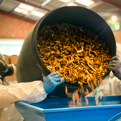 EcoMegot's tweet photo. Durant tout l'été, nous avons mené une campagne de #recyclage de 300KG de #mégots dans notre atelier à Bordeaux ! Tous les mégots proviennent de notre solution ÉcoMégot, installée partout en #France chez plus de 500 clients partenaires ! 🍃 https://t.co/wyDL2nNpxt