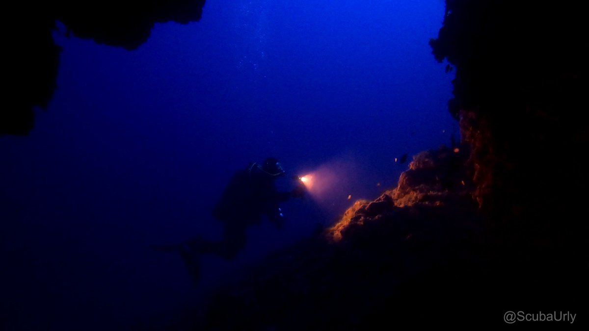 ScubaUrly's tweet photo. Vis, Croatia
#scuba #diving #uwphotography #underwater #vis #croatia https://t.co/CXzgrir5nJ