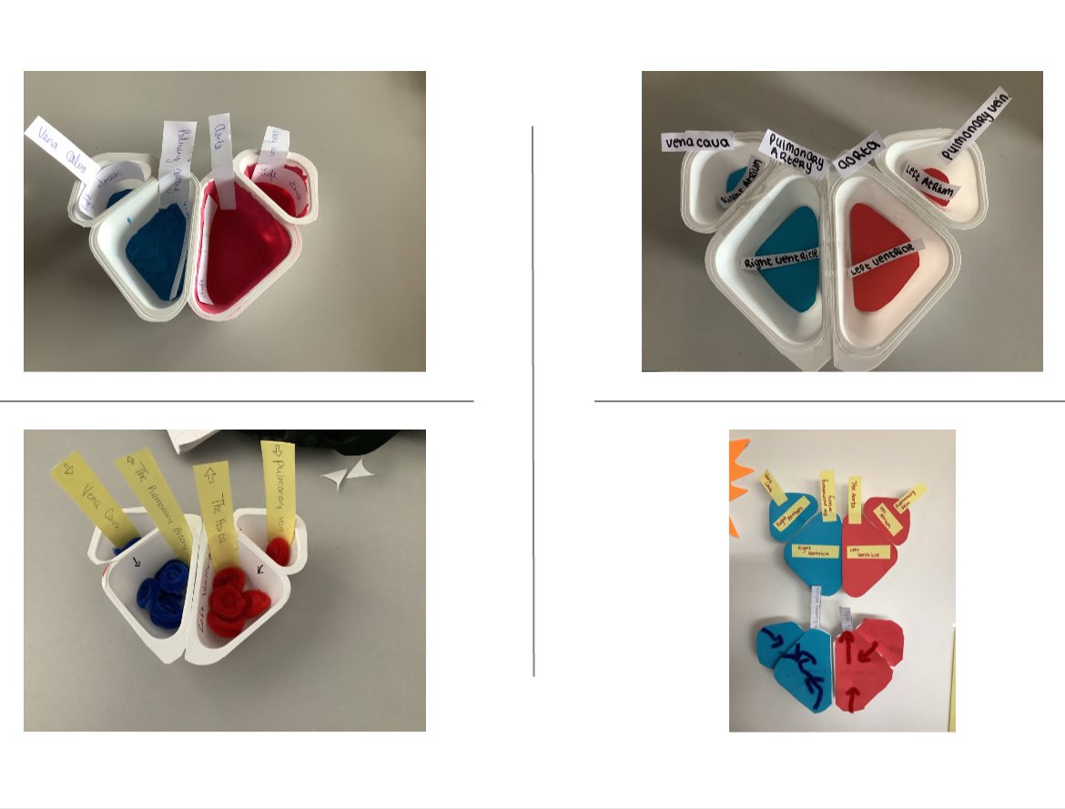 stpaulsgscience's tweet photo. Yoghurt pots - a simple way to make models of the heart . Thanks to Ms. Byrne @stpaulsg for sharing the idea she found with us ❤️💕❤️#activelearning #circulation #heartmodel #groupwork https://t.co/iuxhvwIQtA