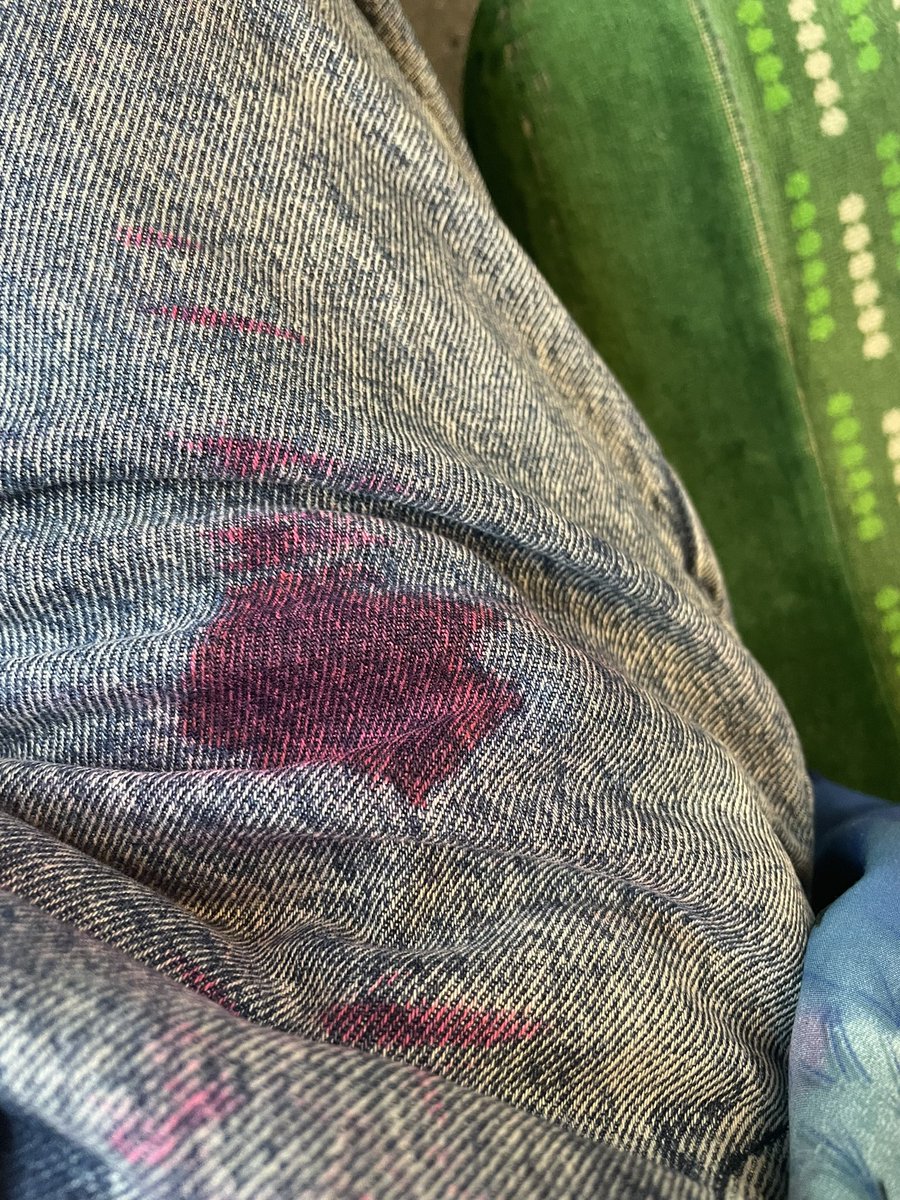 Highlight of my day so far…