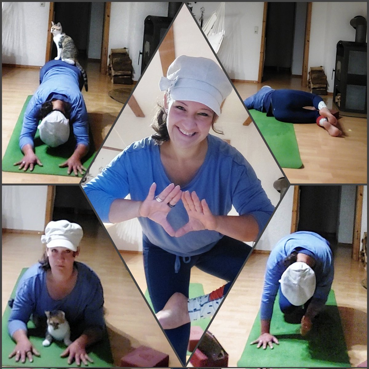 NinaKarg's tweet photo. Started the day with a 45 min yoga-combisession with @fitmooney and Mady Morison π₯°ππ§π»ββοΈπ€Έπ»ββοΈπβ€οΈ wish you all a wonderful day ππ
@MyPeakChallenge @SamHeughan @YogaPeakers @GermanPeaker @SelfCarePeakers @PeakerPets #MPC2022 #grateful #loveyoga #yogatree #catyoga https://t.co/fNB0nmzT6U