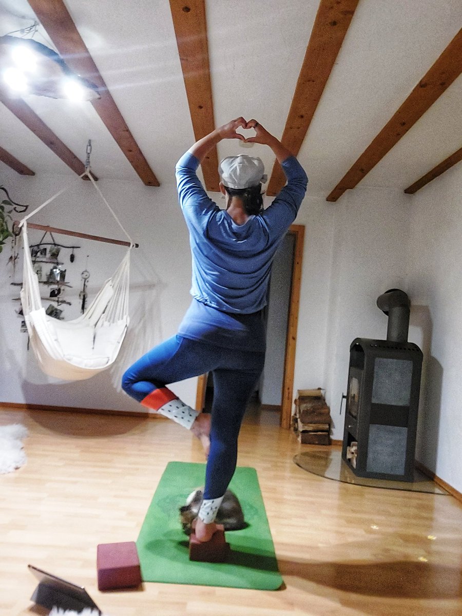 NinaKarg's tweet photo. Started the day with a 45 min yoga-combisession with @fitmooney and Mady Morison π₯°ππ§π»ββοΈπ€Έπ»ββοΈπβ€οΈ wish you all a wonderful day ππ
@MyPeakChallenge @SamHeughan @YogaPeakers @GermanPeaker @SelfCarePeakers @PeakerPets #MPC2022 #grateful #loveyoga #yogatree #catyoga https://t.co/fNB0nmzT6U