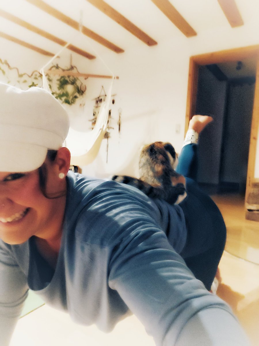 NinaKarg's tweet photo. Started the day with a 45 min yoga-combisession with @fitmooney and Mady Morison π₯°ππ§π»ββοΈπ€Έπ»ββοΈπβ€οΈ wish you all a wonderful day ππ
@MyPeakChallenge @SamHeughan @YogaPeakers @GermanPeaker @SelfCarePeakers @PeakerPets #MPC2022 #grateful #loveyoga #yogatree #catyoga https://t.co/fNB0nmzT6U