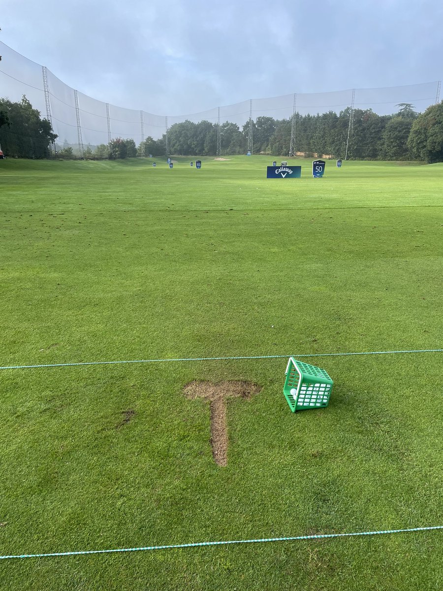 Tyrrell Hatton tweet media
