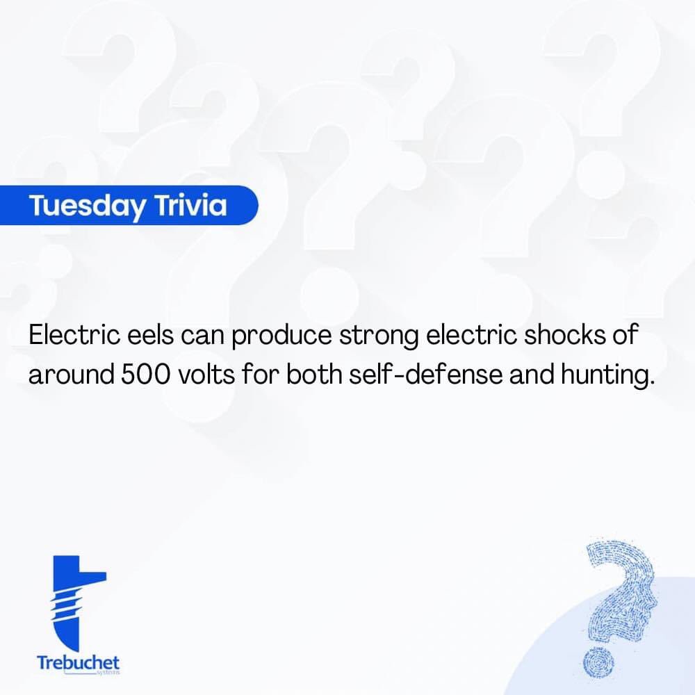 buzztify's tweet image. RT @buzztify: RT @trebuchetsystem: Human deaths from electric eels are extremely rare..however multiple shocks can cause respiratory or heart failure 
#ElectricalEngineers #Designandfunctionality #blackownedbusiness #business #HappyNewMonth
