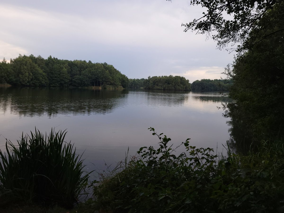 KittyGeleijnse's tweet photo. #ochtendwandeling https://t.co/tzxt7D741S