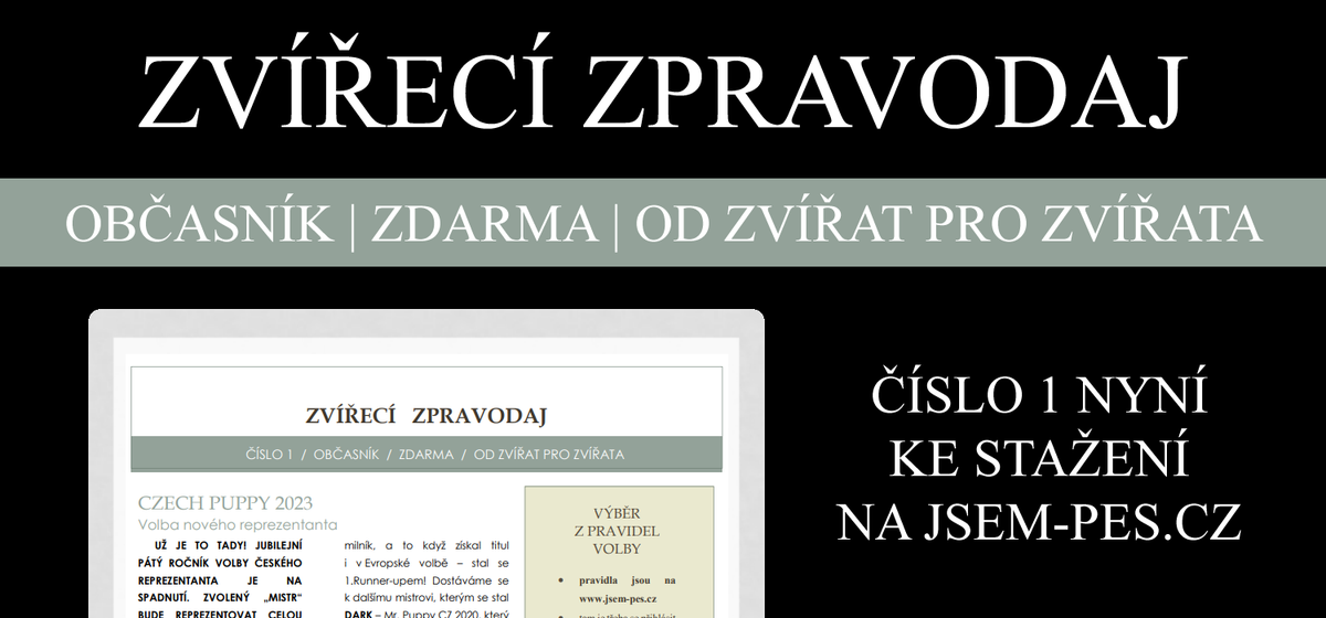 Jsem_Pes's tweet image. To tu ještě nebylo! @BlueStone_horse pro vás připravil občasník o tématech, která zvířata určitě zajímají. V první čísle najdete spousty informací o Czech Puppy a nejen pro ty, kteří zvažují kandidaturu, tak běžte na jsem-pes.cz si ho přečíst! 🐎🐕