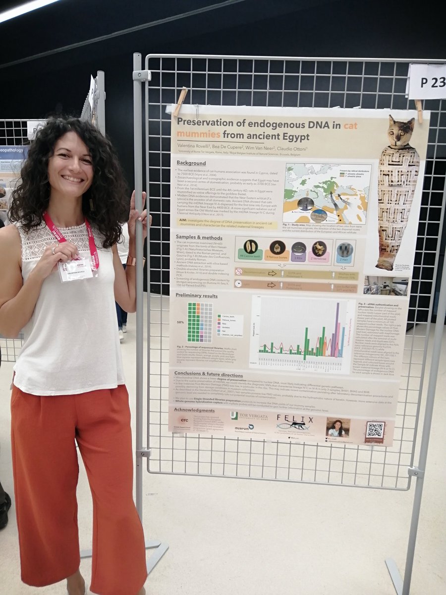 v_rovelli's tweet photo. Second day at #WMC2022 starting with a great session about Molecular Analysis &amp; Imaging! And if you want to know more about our work on ancient Egyptian cat mummies, come find me at the poster session this evening! #ercfelixproject @felix_erc https://t.co/IbLkk7C8l9