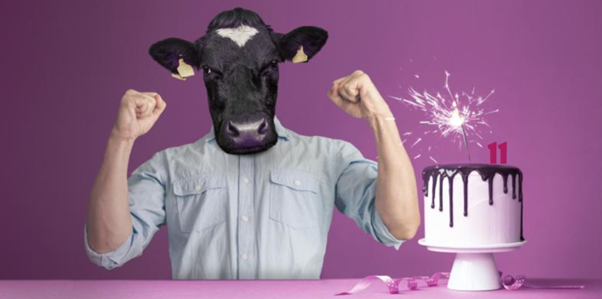 PurpleCowTrain's tweet photo. Hip Hip Moooray! We're 11!

This year, we found ourselves at a loss for words when writing this post. COVID-19 challenged us in ways we couldn’t anticipate and to still be here and be successful, we feel truly grateful. 

Thank you to all of you. We wouldn't be here without you. https://t.co/FWK8KsLznR