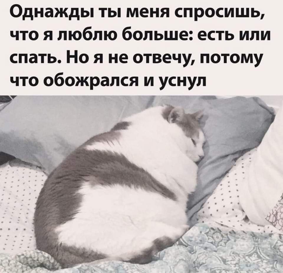 Однажды ты меня спросишь что я люблю больше есть или спать