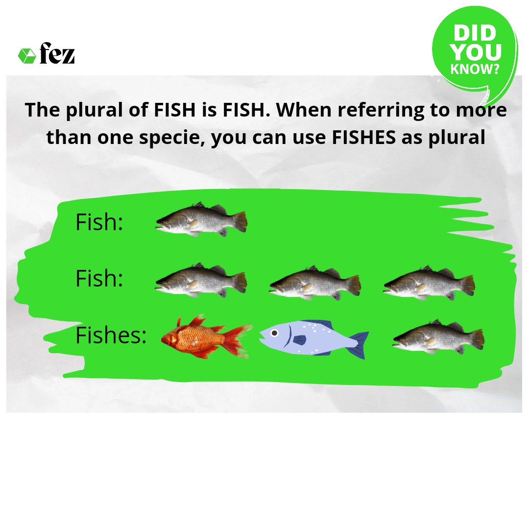 feztraining's tweet photo. DO YOU KNOW?? Learnt something new? Tag a friend to see this. 
#DoYouKnow 
#FezTrainingCentre
#TrainingCentre
#TrainingSpace
#TrainingSpaceRental https://t.co/rgw7nzQTht
