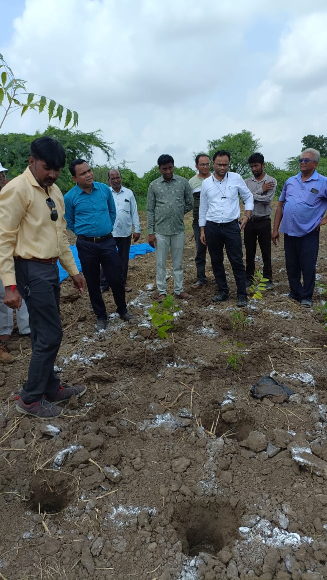 MgnregaTalod's tweet photo. સાબરકાંઠા ના તલોદ તાલુકાના મોતેશરી ગ્રામ પંચાયત માં જાપાનીઝ અકિરા મિયાવાકી પદ્ધતિથી વનીકરણ કરવામાં આવ્યું..જેમાં માન.નિયામક સાહેબ શ્રી તેમજ ડીડીપીસી સાહેબ, ટીડીઓ સાહેબ શ્રી,તલોદ મનરેગા સ્ટાફ તેમજ મોટી સંખ્યામાં ગ્રામજનો હાજર રહ્યા. @MaulikSharma11 @sabarkanthadp @crdgujarat1 https://t.co/yuSUM15Ten