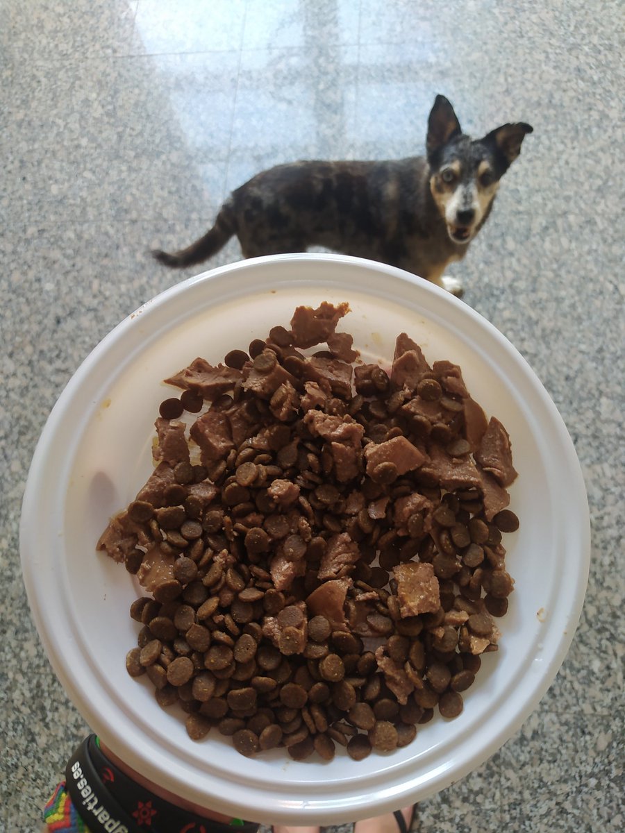 Nikushimi tweet media