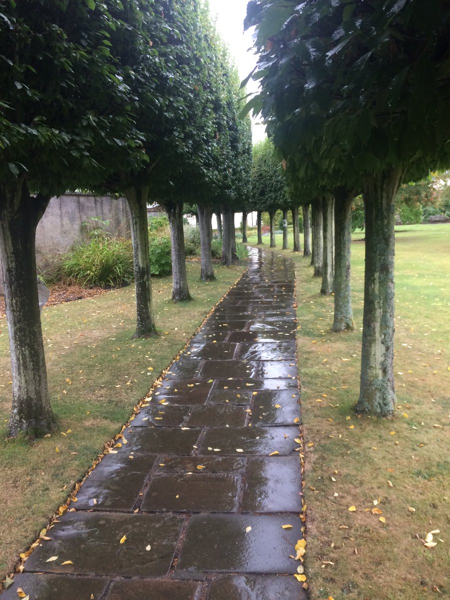 Wet in the Garden this morning, much needed rain for grass and plants.