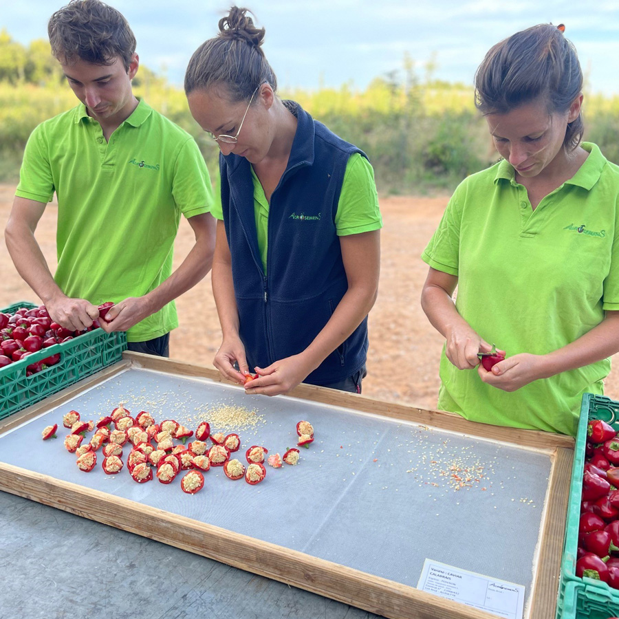 La Semence Bio tweet media