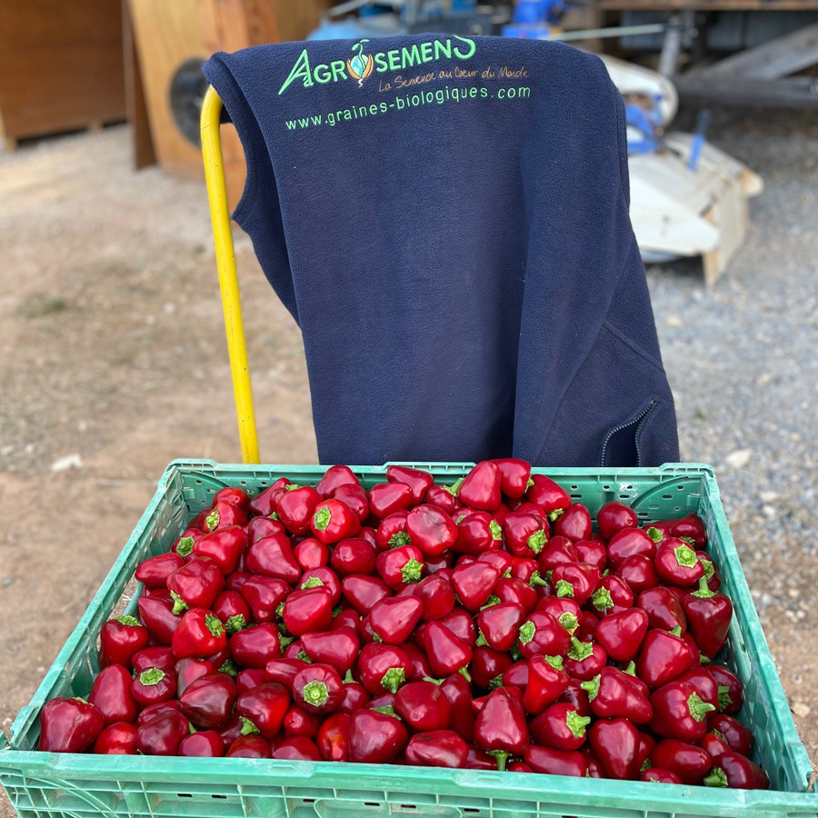 La Semence Bio tweet media