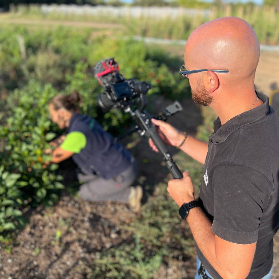 La Semence Bio tweet media