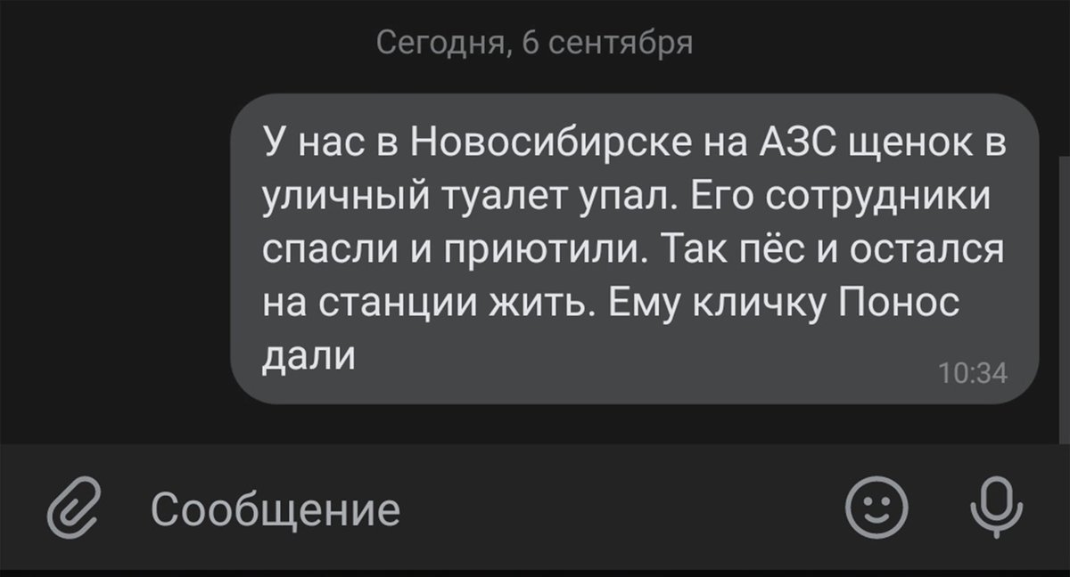 AntonBelyayev1 tweet picture