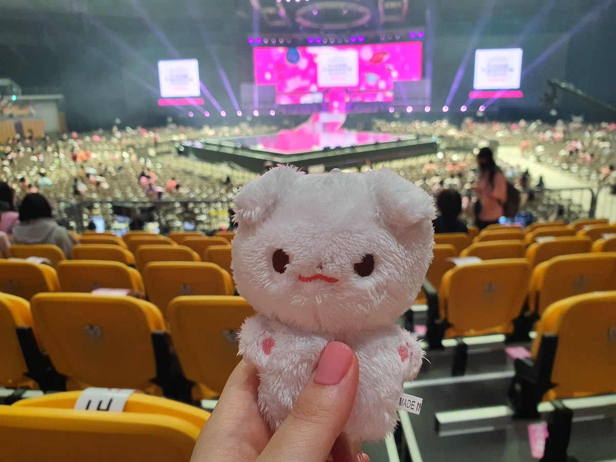 #함께걷는댕구와_발을맞추고 
댕구와 함께한 오프💗