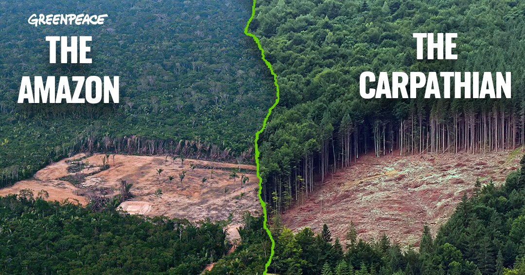 not here, not there, not anywhere

*next week* the EU Parliament votes on a new EU law to protect forests from European consumption

it's time to stop forest destruction, and start by banning the products that come from this destroyed nature

#Together4Forests