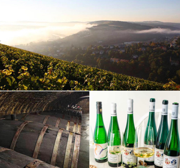 Ik hou van de elegantie, verfijning en de ragfijne zuren van Duitse Riesling wijnen. Ze combineren vooral mooi met de Aziatische keuken. Gerechten met wat zoet van schaaldieren, beetje pit van kruiden en pepers. Proef je mee?avalonwijnenspijs.nl/evenement/zill…