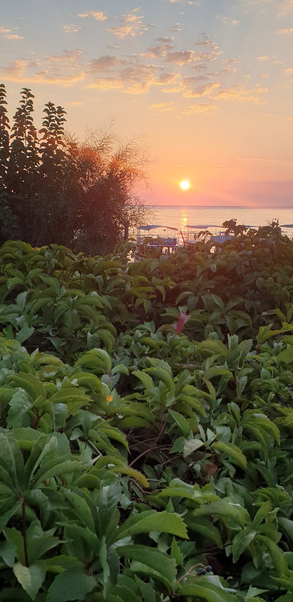 AldemirCigdem's tweet photo. Mutlu uyanmak yine bir gün #mutlusabahlar https://t.co/FqmyyKPT78