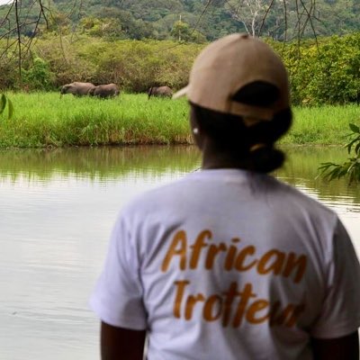 Loango National Park 📍🐘🌳
#20ans <a href="/Parcs_Gabon/">Agence Nationale des Parcs Nationaux</a>