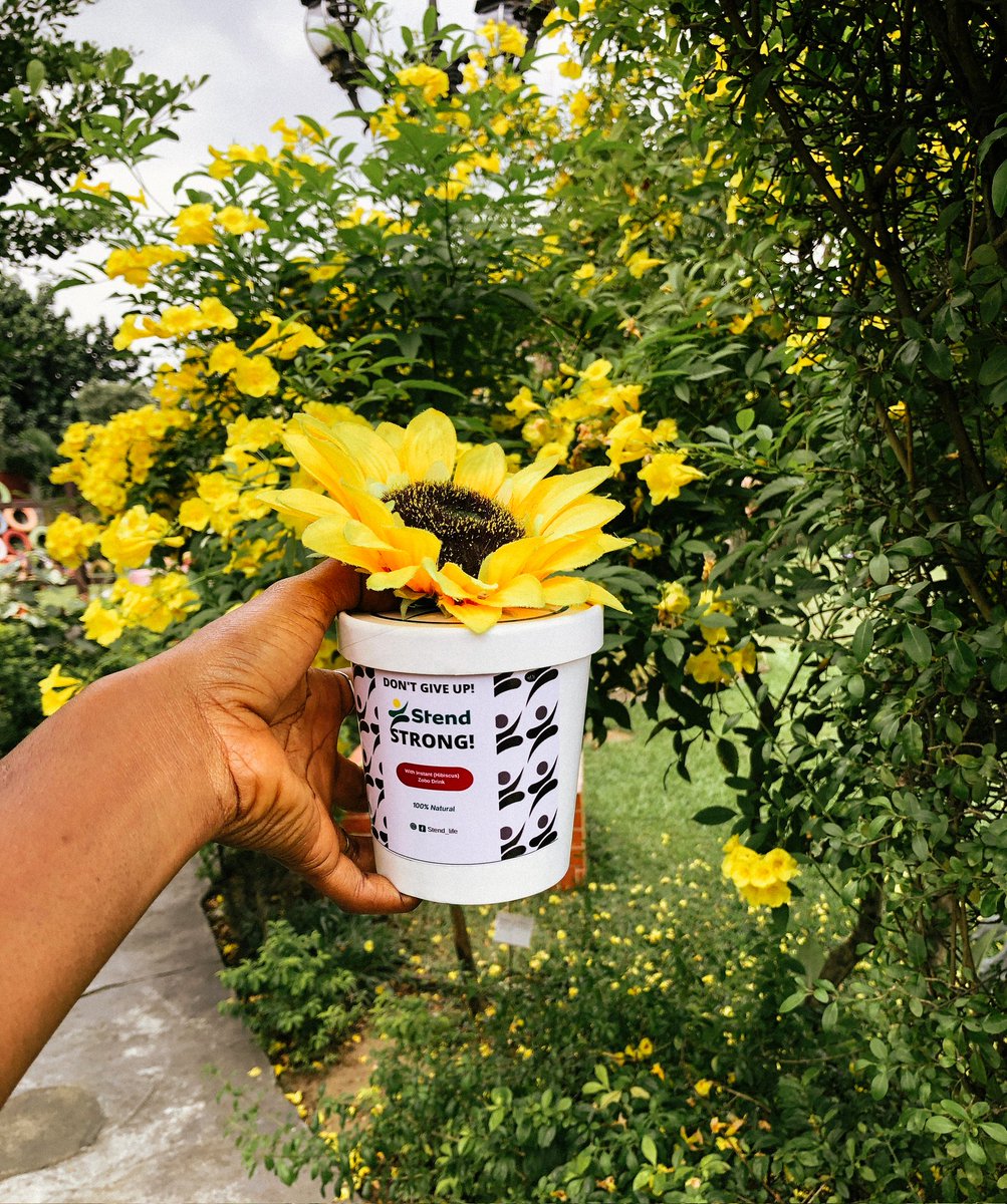 StendLife_'s tweet photo. You will always be faced with two options.

Option 1: Find a way out
Option 2: Make excuses

The ball remains in your court!

I encourage you to #StendStrong 💛💚 and choose to find a way out.

#HibiscusTea available at N1000 https://t.co/dxKtXjF2JL