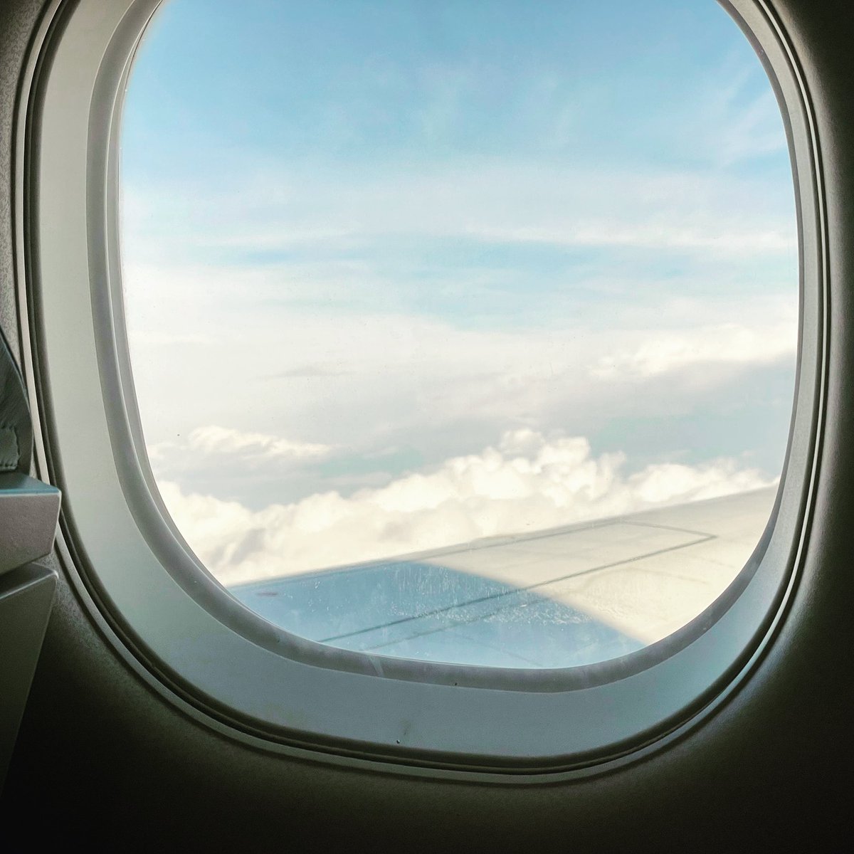 LYS -PUF « vous ferez attention Mme, le thé est brulant » « vous faites pas bouger l’avion, et ça ira bien 😉 » *annonce sonore* « mesdames et messieurs, nous traversons une zone de turbulences, veuillez attacher vos ceintures »😬🤔😅