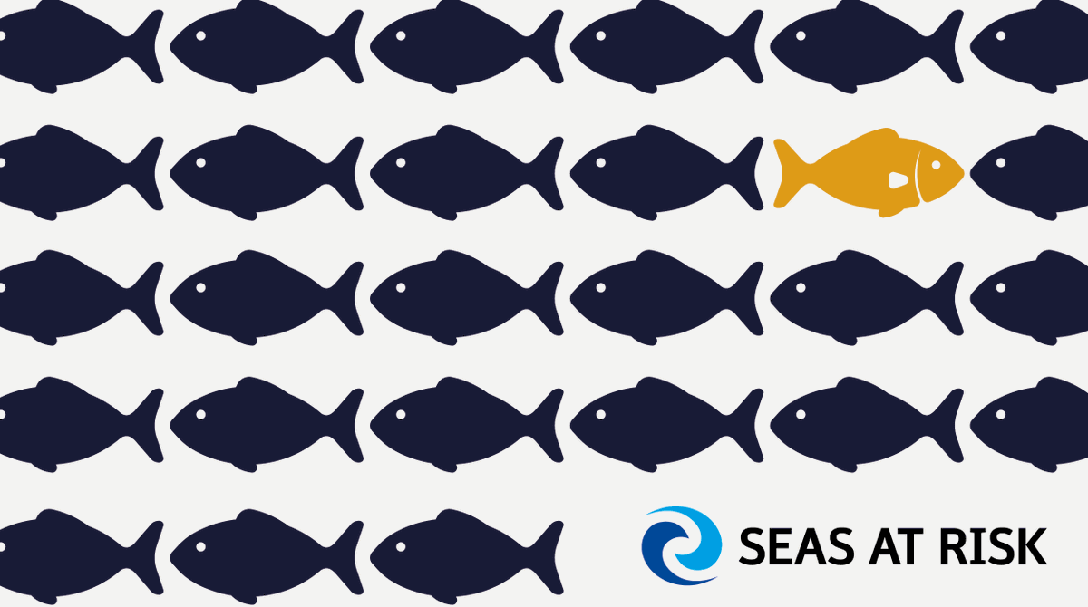 SeasAtRisk's tweet image. We are #hiring! Seas At Risk is seeking a #developmentofficer. Applications will be reviewed on a rolling basis, so better submit as soon as possible! Deadline: 25th September 2022.

➡️seas-at-risk.org/careers/
#job #hiringnow #recruitment