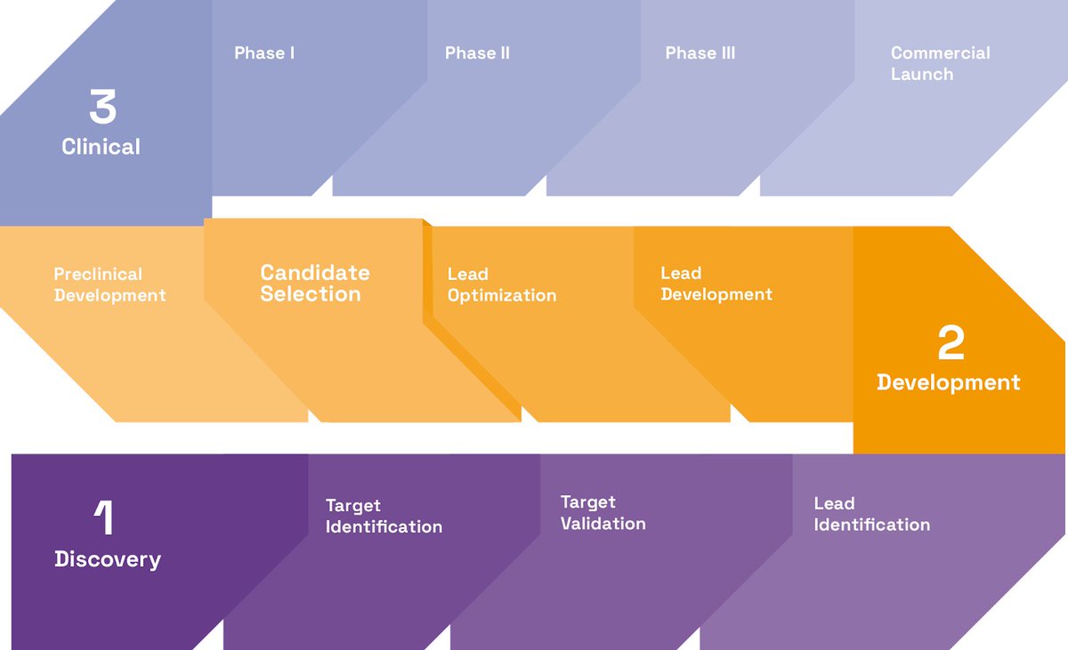 Veranova_life's tweet photo. Identifying potential solid form challenges early in the candidate selection process is crucial for reducing R&amp;D costs. 

Check out our #whitepaper to discover early form screening strategies to accelerate your #DrugDiscovery: https://t.co/bB4aPUwZE3 https://t.co/OSUOrWfBxr
